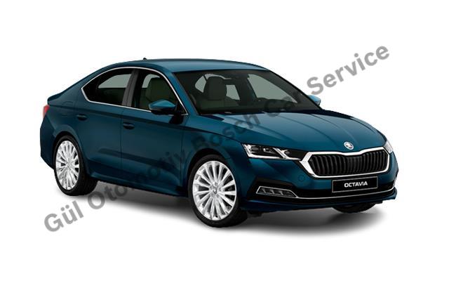 Maltepe Skoda Servisi